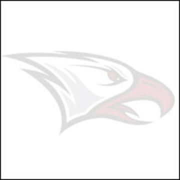 Eagle Logo