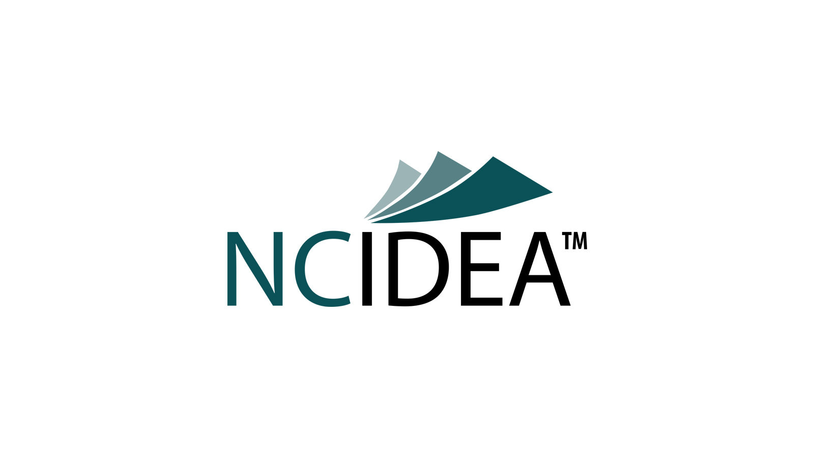 NC IDEA logo