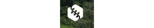 Image of Land Loss Prevention Project logo