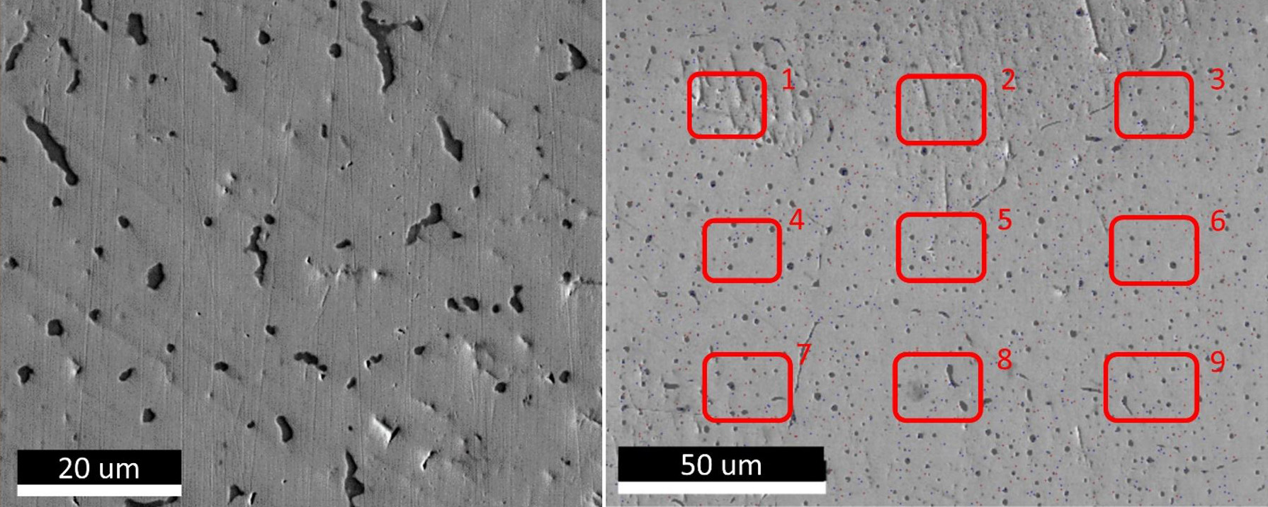 Microstructure of as-cast alloy