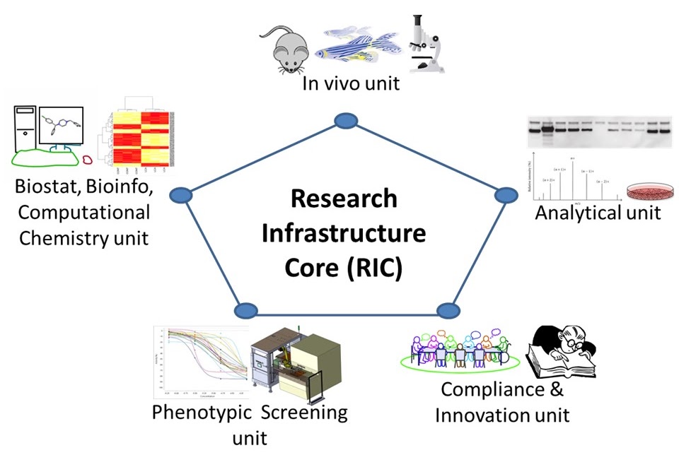 RIC Image