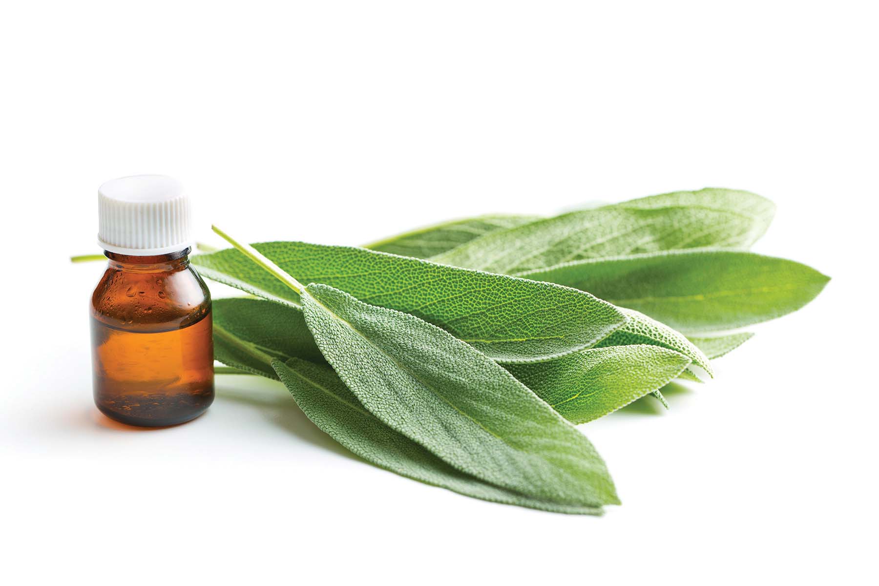 Bottle of essential oil and sage leaves