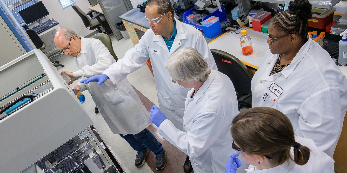 Researchers standing together and talking.