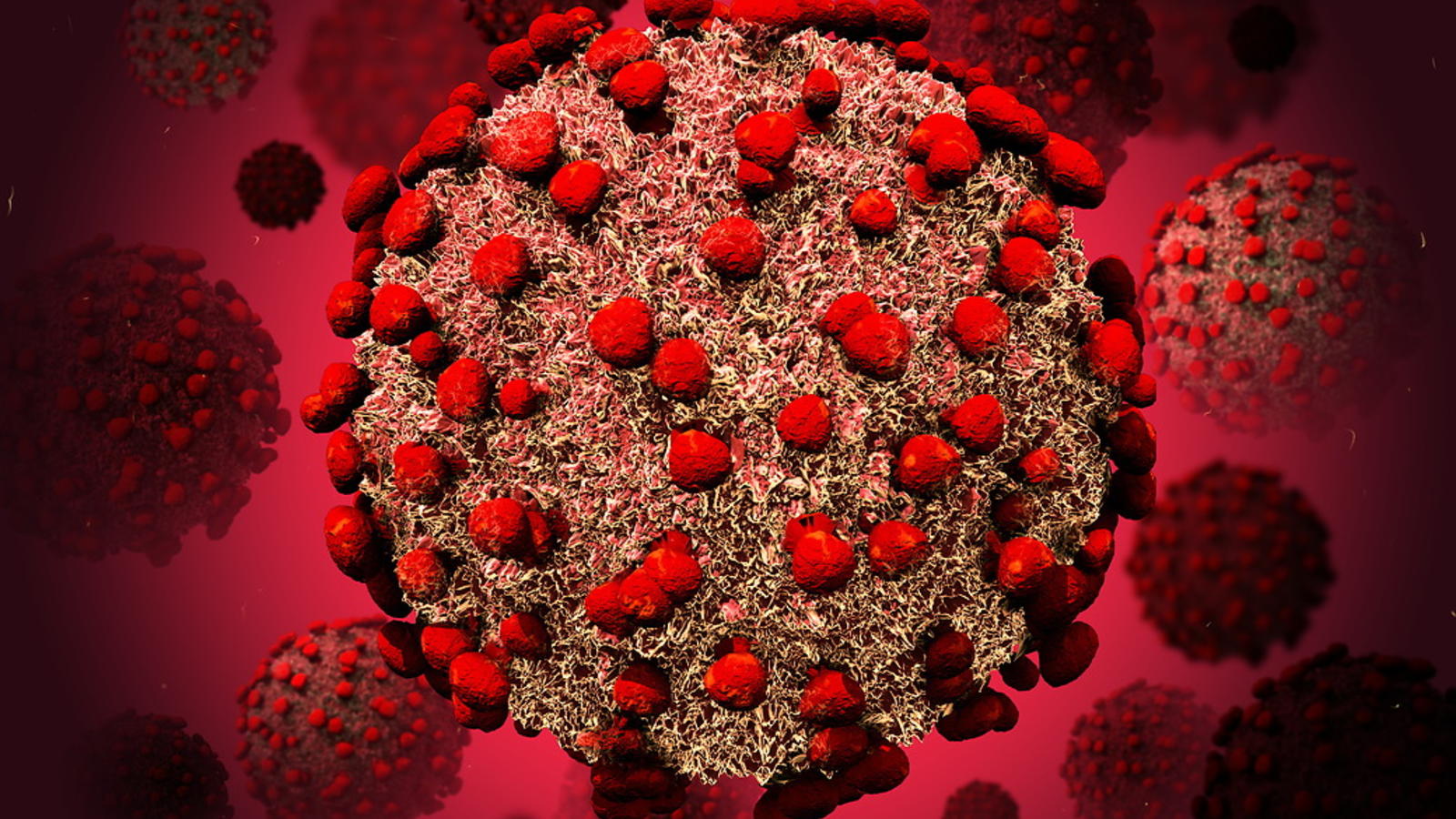 A render of the Covid-19 virus