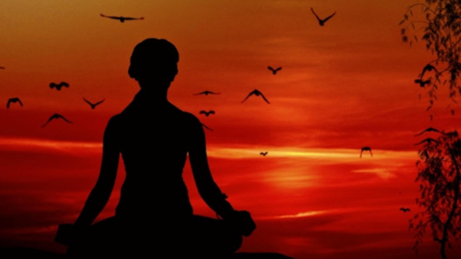 Image of a person sitting during sunset