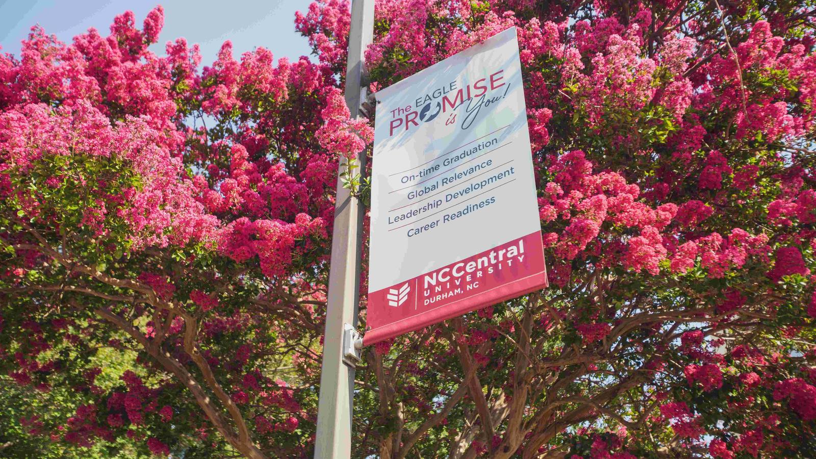 NCCU Banner in Spring. The banner states "The Eagle Promise is You!"