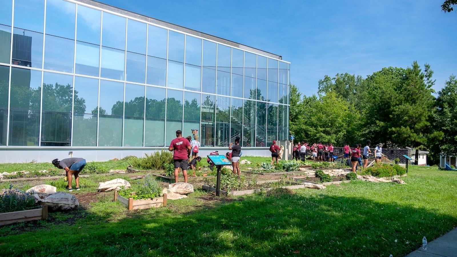 Students are working on Garden