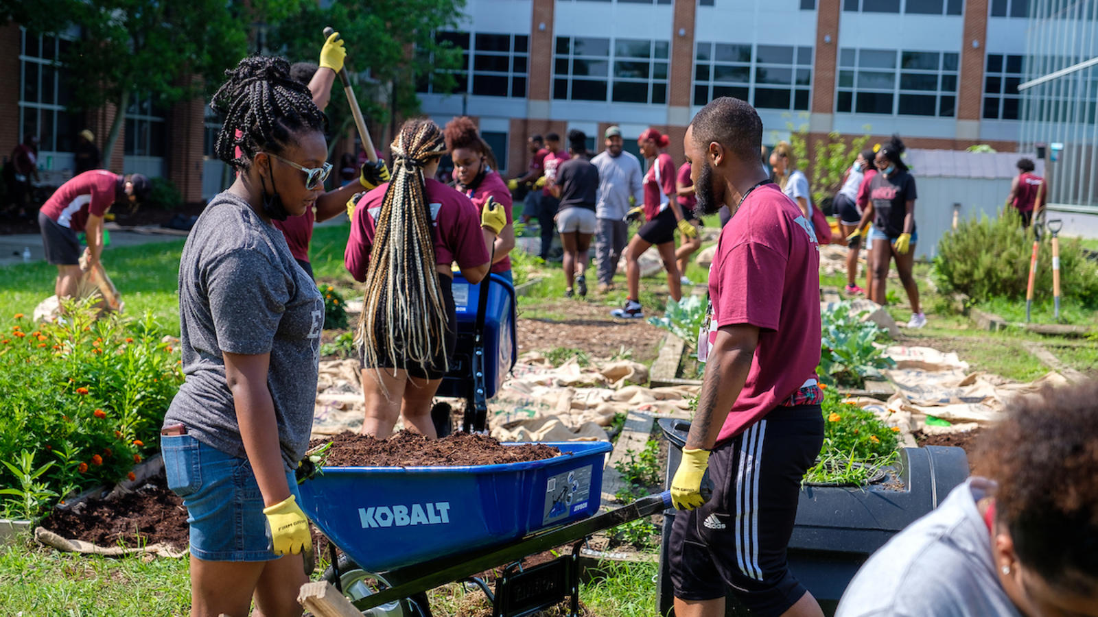 Campus Community Garden North Carolina Central University
