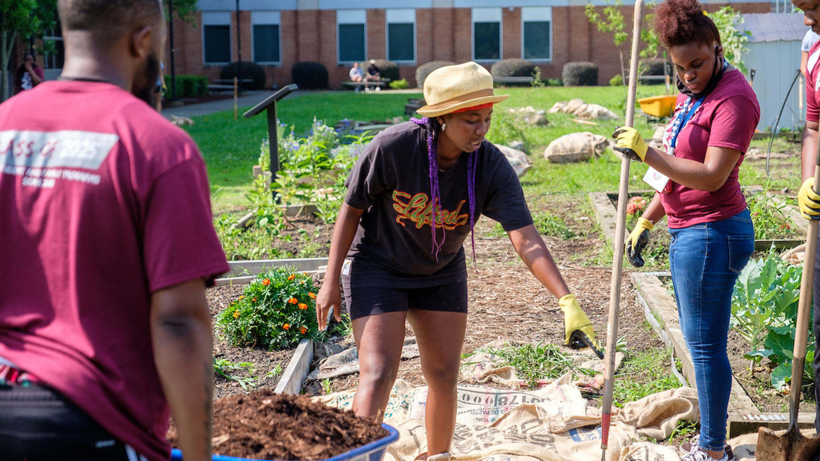 Students are working on Garden