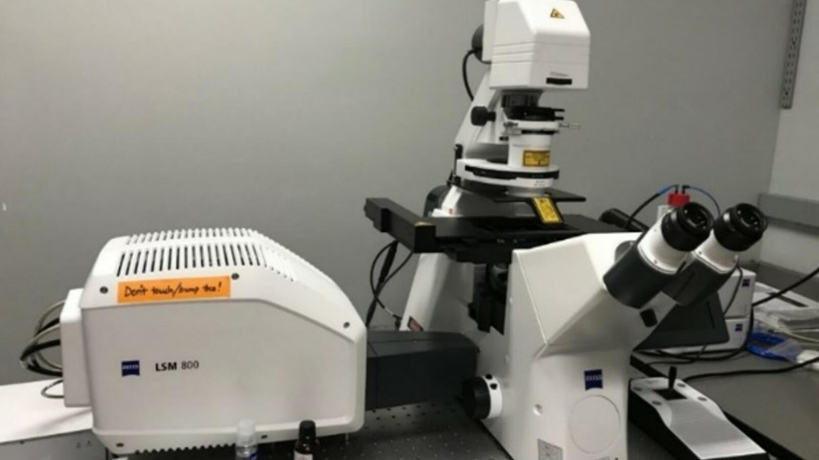 Zeiss LSM 800 Confocal Microscopy