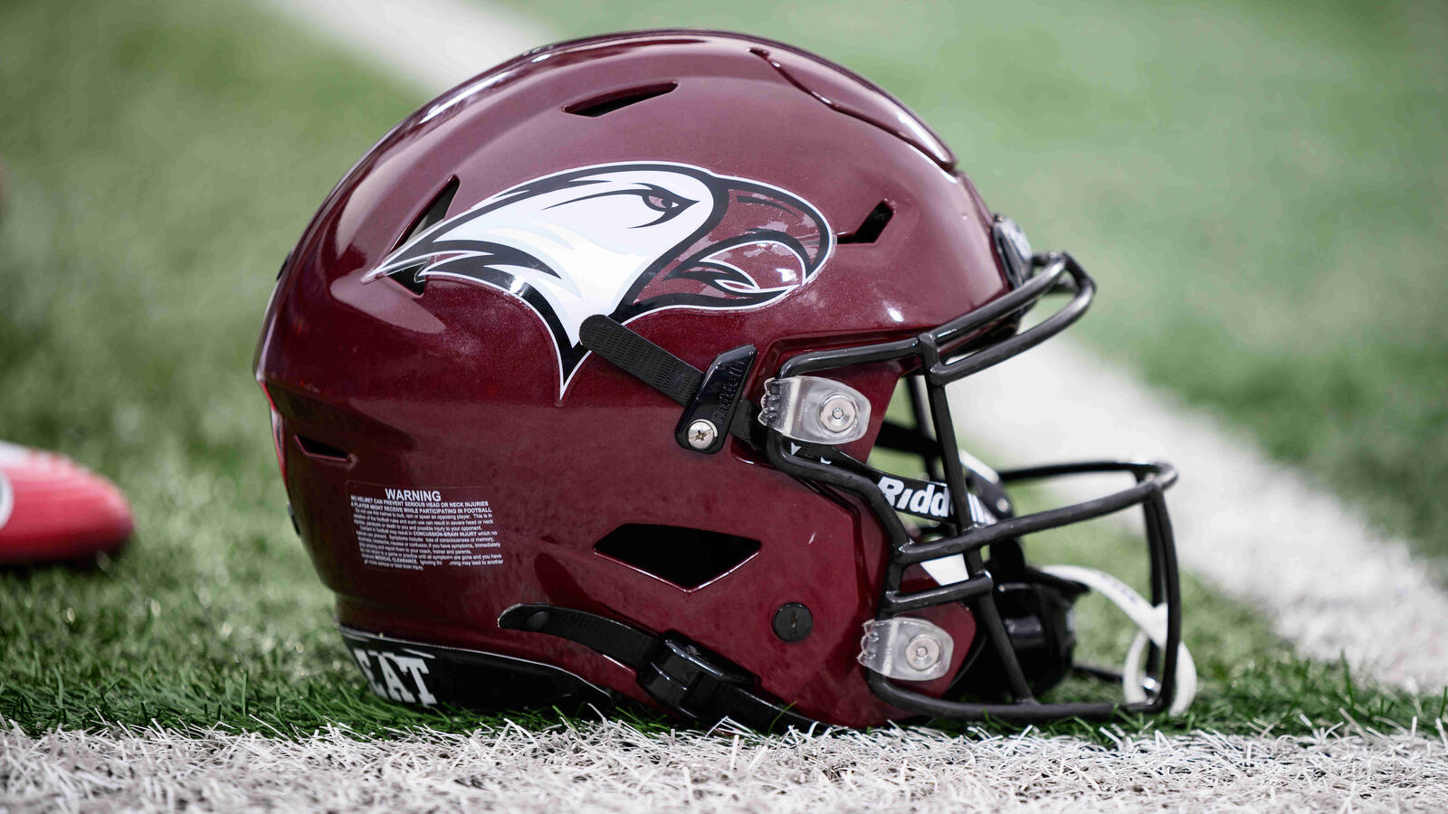 eagles football helmet