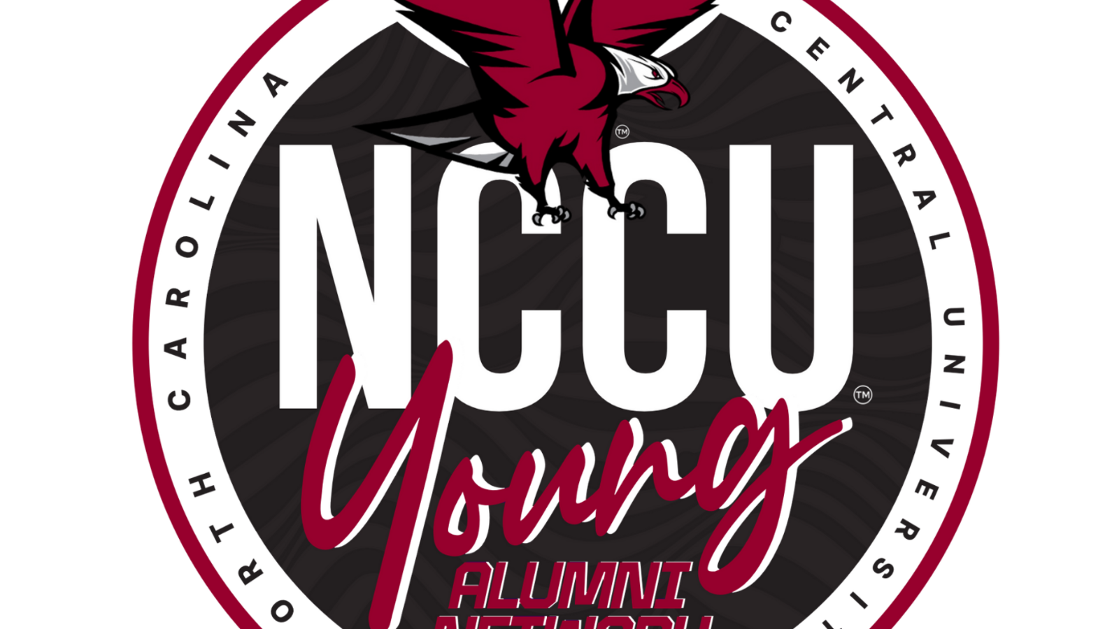 Young Alumni Network logo