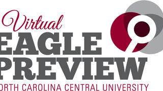 Virtual Eagle Preview logo