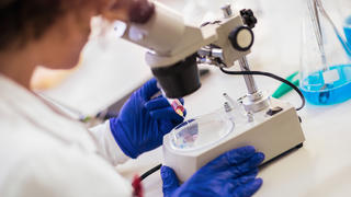 Woman examining objects under a microscope.