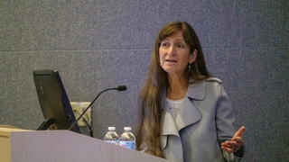 Faculty member during a presentation