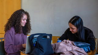 Two students studying