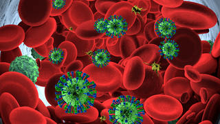 coronavirus in blood cells