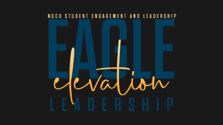 Eagle Elevation logo