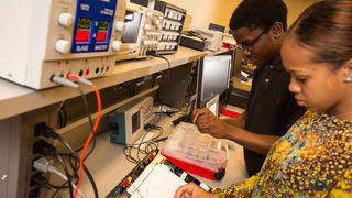 Two people working together in a lab