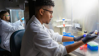 Two researchers working in fume hoods
