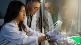 Two researchers looking at a sample in a fume hood