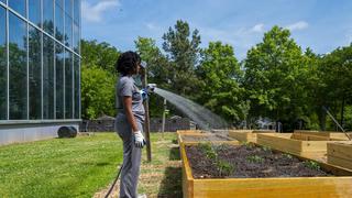 Student watering plants