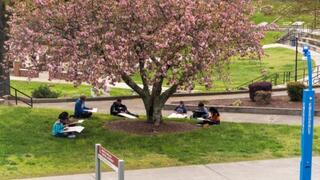 NCCU students sitting under a tree drawing on art pads