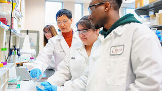 Research in classroom
