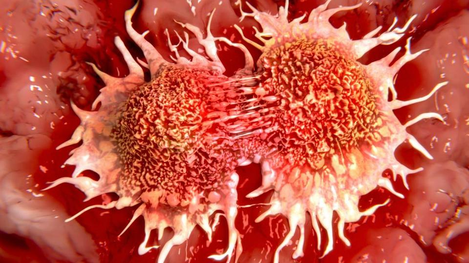 Cancer Cells
