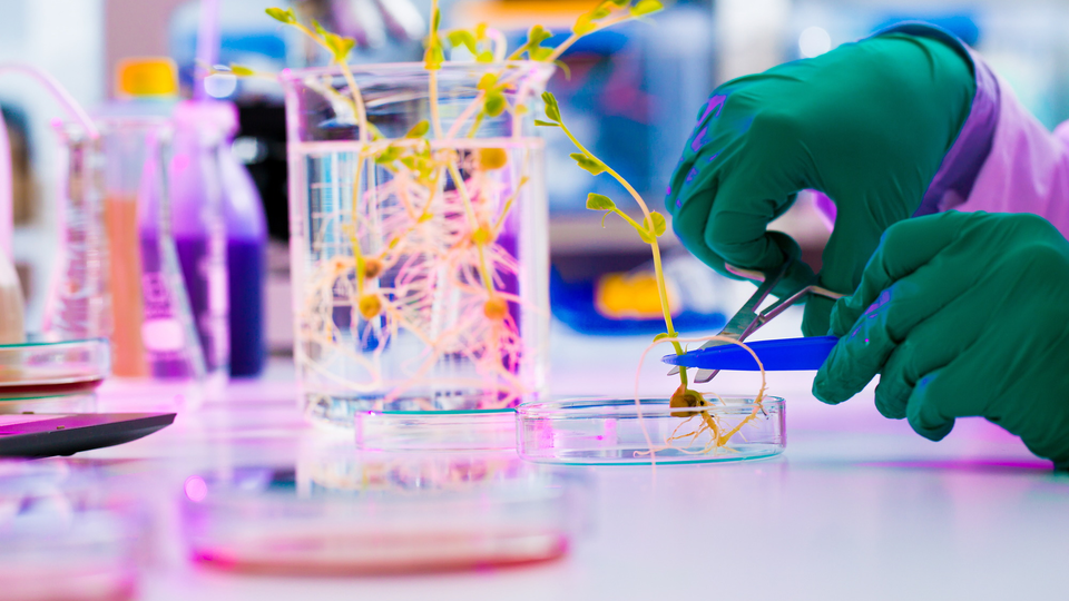 Researcher experimenting in lab