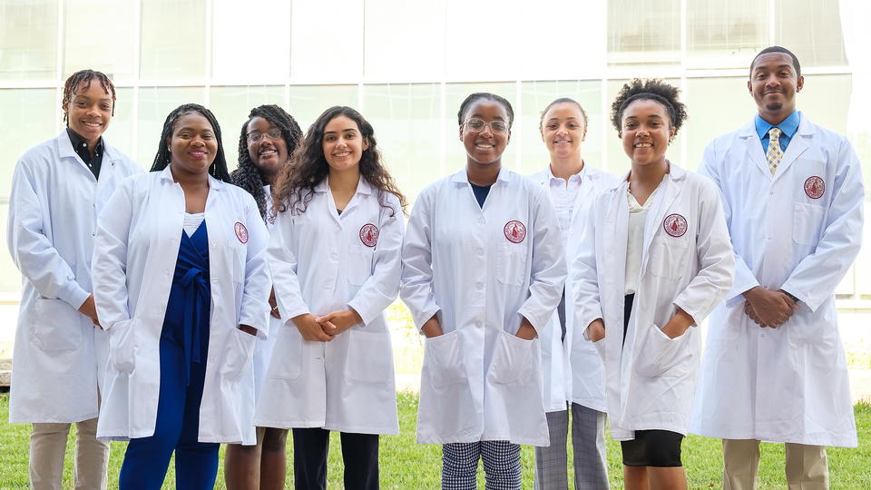 Clinical Health Summer Program Group