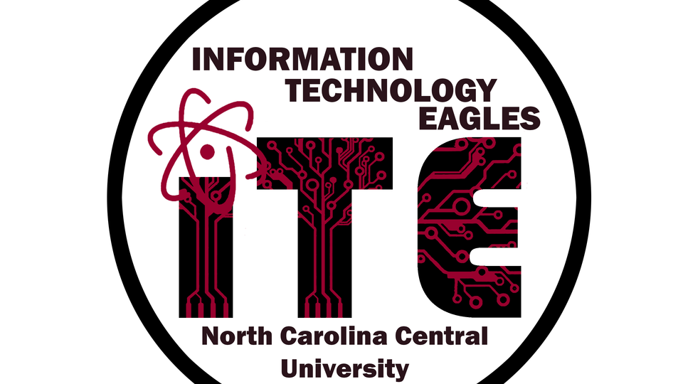 IT Eagles Logo