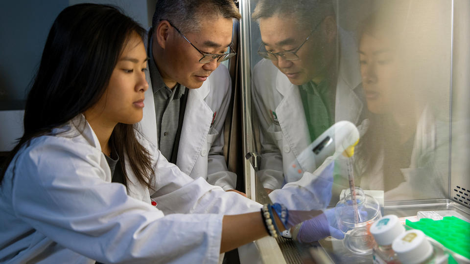 Two researchers looking at a sample in a fume hood