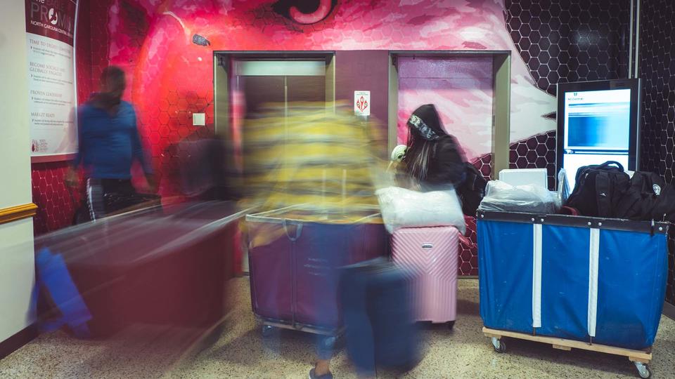 spring move in abstract image