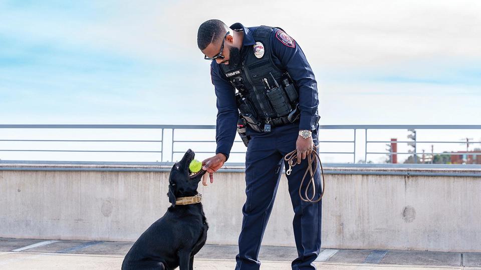 NCCU Police giving a ball to patrol dog