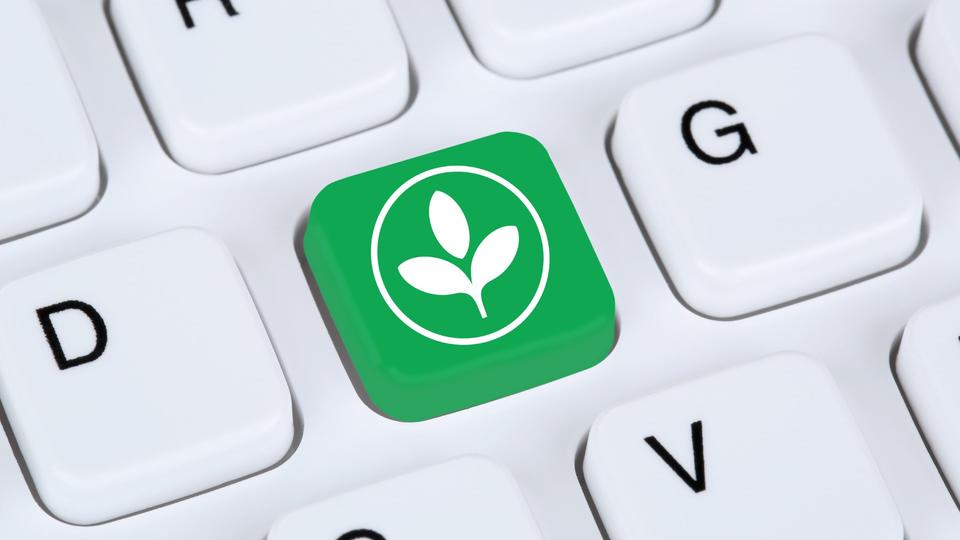 keyboard with green leaf