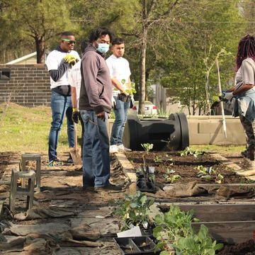 TRIO attendees gardening