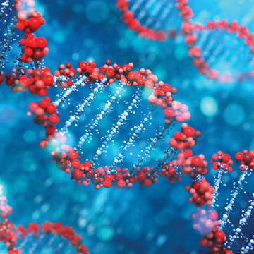 DNA Strand