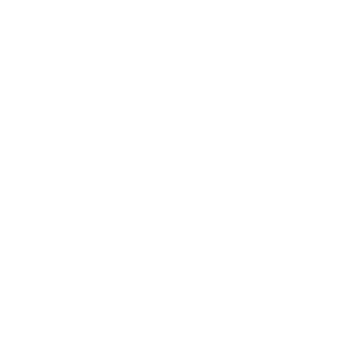 award icon