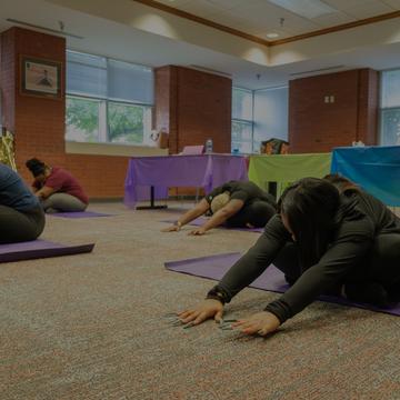 Students stretching in yoga class