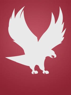 Placeholder image of an eagle.